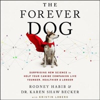 Abbildung von: The Forever Dog - HarperCollins