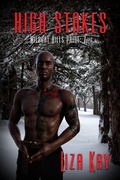 Cover: High Stakes (Wildcat Hills Pride, #7) - eXtasy Books Inc