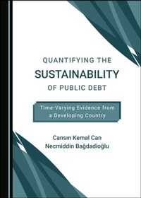 Abbildung von: Quantifying the Sustainability of Public Debt - Cambridge Scholars Publishing