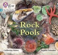 Cover: Rock Pools - Collins
