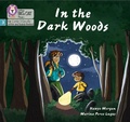 Cover: In the Dark Woods - Collins