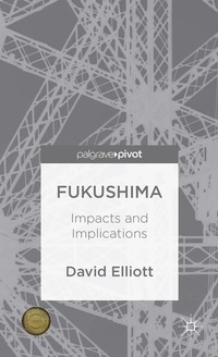 Enlarge image Cover: Fukushima - Palgrave Pivot