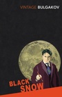 Cover: Black Snow - Vintage Classics