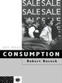 Cover: Consumption - Routledge