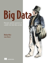 Enlarge image Cover: Big Data - Manning