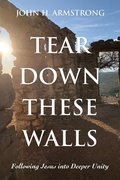 Cover: Tear Down These Walls - Wipf & Stock Publishers
