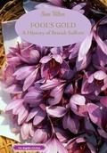 Cover: Fool's Gold - Prospect Books