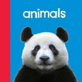 Cover: Baby Beginnings: Animals - Chosen Spot Publishing