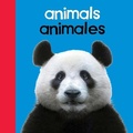 Cover: Baby Beginnings: Animals / Animals - Chosen Spot Publishing