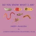 Cover: Do You Know What I Am? - Diamond and Halo Publishing, LLC