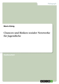 Abbildung von: Chancen und Risiken sozialer Netzwerke fuer Jugendliche - GRIN Verlag