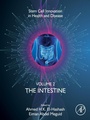Cover: The Intestine - Academic Press