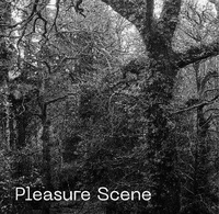Enlarge image Cover: Pleasure Scene - Trafalgar Avenue