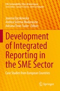 Cover: Development of Integrated Reporting in the SME Sector - Springer