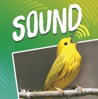 Enlarge image Cover: Sound - Raintree