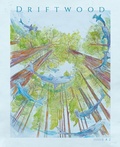 Cover: Driftwood Press 8.2 - Driftwood Press