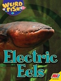 Cover: Electric Eels - Av2