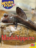 Cover: Mudskippers - Av2
