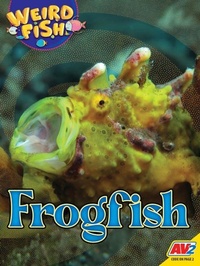 Enlarge image Cover: Frogfish - Av2
