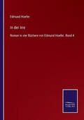 Cover: In der Irre - Salzwasser-Verlag