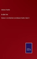 Cover: In der Irre - Salzwasser-Verlag