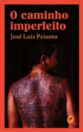 Cover: O caminho imperfeito - Editora Dublinense