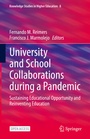Cover: University and School Collaborations during a Pandemic - Springer