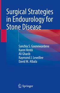 Abbildung von: Surgical Strategies in Endourology for Stone Disease - Springer