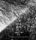 Cover: Ghosts City Sea - Seaweed Salad Editions