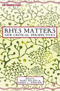 Enlarge image Cover: Rhys Matters - Palgrave MacMillan