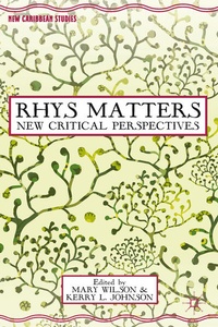 Enlarge image Cover: Rhys Matters - Palgrave MacMillan