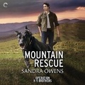 Cover: Mountain Rescue - Carina Press
