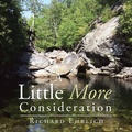 Cover: A Little More Consideration - AUTHORHOUSE
