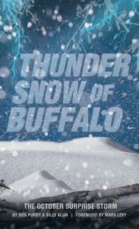 Abbildung von: Thunder Snow of Buffalo - Archway Publishing