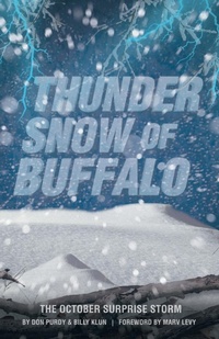 Abbildung von: Thunder Snow of Buffalo - Archway Publishing