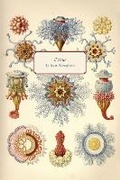 Cover: il virus - Anvil Press Publishers Inc