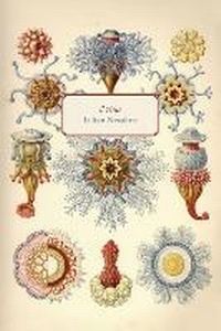 Enlarge image Cover: il virus - Anvil Press Publishers Inc