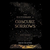 Abbildung von: The Dictionary of Obscure Sorrows - SIMON & SCHUSTER AUDIO