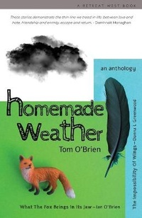 Enlarge image Cover: Homemade Weather - Retreat West Books