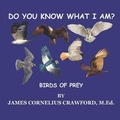 Cover: Do You Know What I Am? - Diamond and Halo Publishing, LLC.