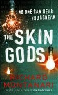 Abbildung von: The Skin Gods - Arrow Books Ltd