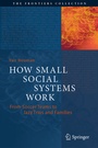 Cover: How Small Social Systems Work - Springer