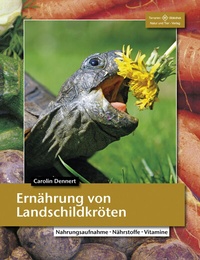 Abbildung von: Ernährung von Landschildkröten - Natur und Tier