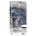 Cover: Steinkohle im GeoPark Ruhrgebiet - Regionalverband Ruhr