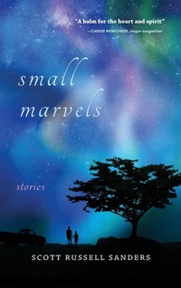 Enlarge image Cover: Small Marvels - Indiana University Press