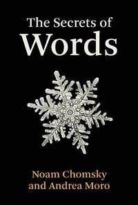 Enlarge image Cover: The Secrets of Words - MIT Press