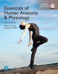Cover: Essentials of Human Anatomy & Physiology, Global Edition - Pearson Education Limited