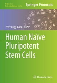 Abbildung von: Human Naïve Pluripotent Stem Cells - Springer