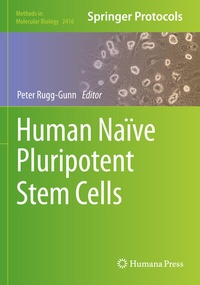 Abbildung von: Human Naïve Pluripotent Stem Cells - Springer