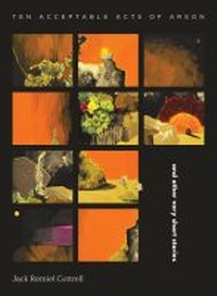 Enlarge image Cover: Ten Acceptable Acts of Arson - Canterbury University Press